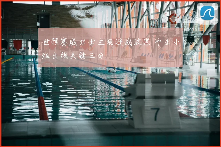 世预赛威尔士主场迎战波黑 冲击小组出线关键三分