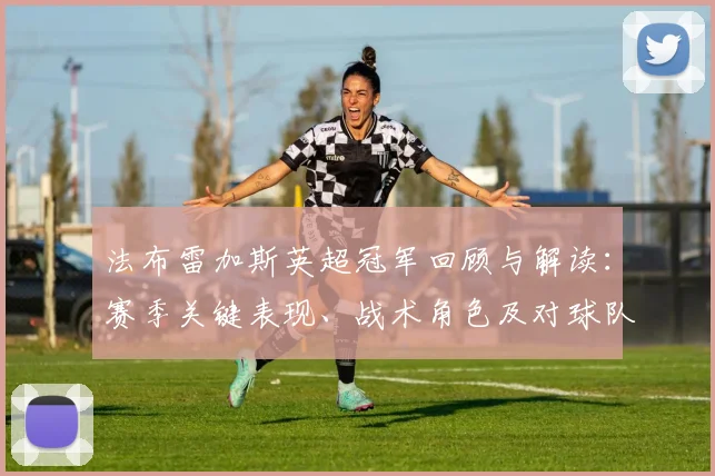 法布雷加斯英超冠军回顾与解读：赛季关键表现、战术角色及对球队长期影响
