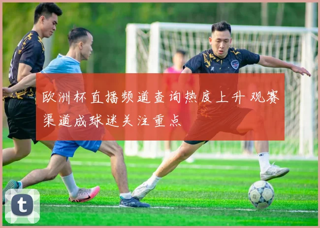 欧洲杯直播频道查询热度上升 观赛渠道成球迷关注重点