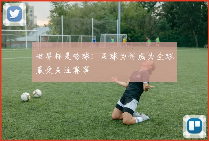 世界杯是啥球：足球为何成为全球最受关注赛事
