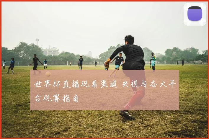 世界杯直播观看渠道 央视与各大平台观赛指南