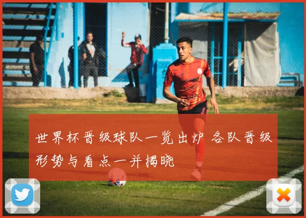 世界杯晋级球队一览出炉 各队晋级形势与看点一并揭晓