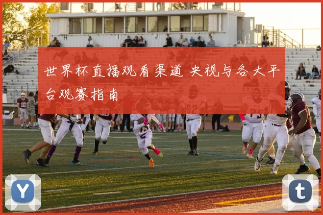 世界杯直播观看渠道 央视与各大平台观赛指南