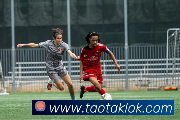 世界杯官方网络平台平台生态图