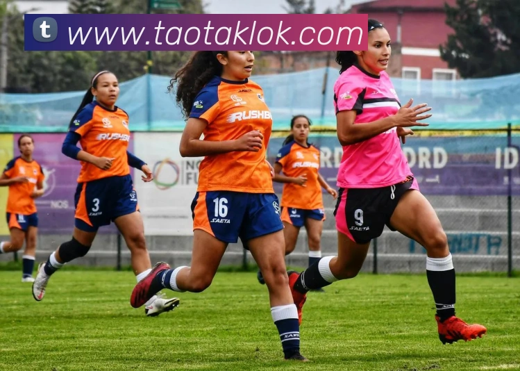 世界杯官方网络平台APP 封面图